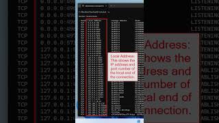 netstat windows networking cmd [upl. by Pirozzo]