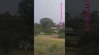 VLINE Southern Cross To Albury NSW 121124 victoria shorts shortvideo train travel views [upl. by Rehpotsirc]