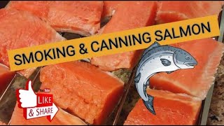 HOW TO PRESERVE SALMON BRINE amp SMOKED salmon smokingsalmon pantrygoals alaskasalmon bristolbay [upl. by Ahsa950]