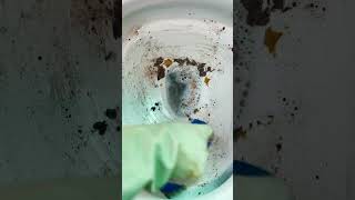 Unused Toilet Cleaning ASMR You Never Knew You Needed  Oddly Satisfying video [upl. by Fennelly847]