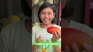 Cobain Mangga Merah Yang Wangi kelapa jajan kuliner mangga [upl. by Holmen]