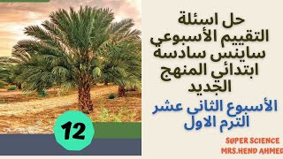 حل اسئلة التقييم الأسبوعى ساينس سادسة ابتدائي المنهج الجديد الأسبوع الثاني عشر Term 1 [upl. by Ayanad387]