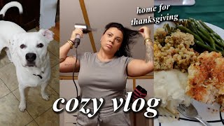 Cleaning cooking comfort food amp going to PA for Thanksgiving  Cozy week in my life vlog [upl. by Ignaz947]