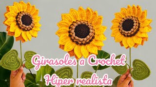 🌻 Te enseño Cómo Tejer un Girasol a Crochet  Tutorial Paso a Paso parte 2 [upl. by Warram]