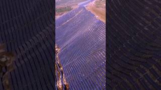 Bhadla Solar Park  India biggest Solar park solar shorts [upl. by Ellirehs]