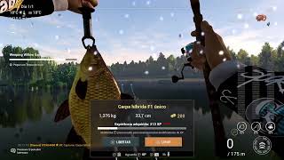 FISHING PLANET WEEPING WILLOW SPOT 2 CARPA HIBRIDA F1 UNICA [upl. by Odrick401]