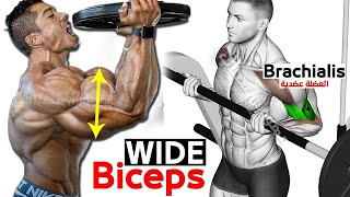 7 BEST Exercises for WIDER BICEPS [upl. by Coppock169]