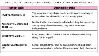 Ch 1 Erik Erikson’s Psychosocial Theory [upl. by Sirenay]