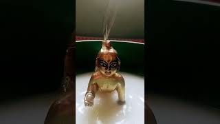 Laddu gopal short video mastti 😀 video [upl. by Eldin]