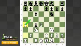 Chess Openings  How to Play the Slav Defense [upl. by Nelg827]