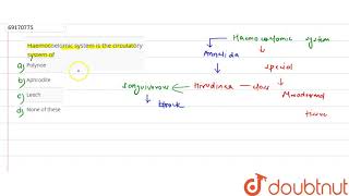 Haemocoelomic system is the circulatory system of [upl. by Ynahpit]