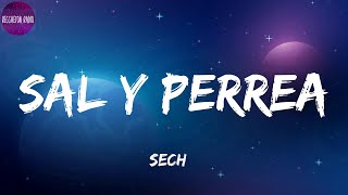 Sech Sal y Perrealetra [upl. by Cyn700]