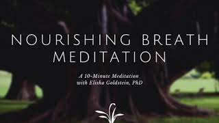 10Minute Nourishing Breath Meditation [upl. by Alehcim358]