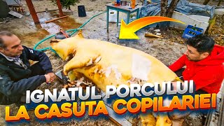 IGNATUL PORCULUI LA CASUTA COPILĂRIEI [upl. by Larrad]