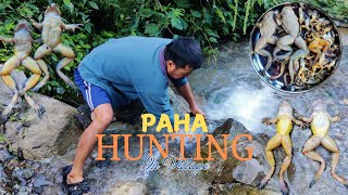 Toad Hunting in River of Baglung Nepal  Paha Hunting  Traditional Local Method of Toad Hunting [upl. by Yeo87]