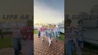 Life as a trainee under Hybe Label hybekpopbtstxtseventeennjsillitenhypenlesserafimviews [upl. by Wendell633]