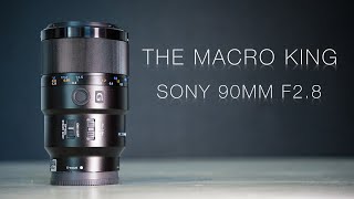 The Macro King 👑  Sony 90mm F2 8 Macro G OSS  Sharpness Portrait amp Video Test [upl. by Sherborn]