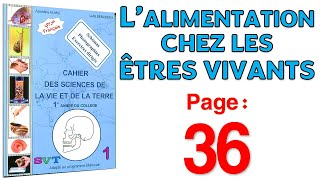 Azzedine Alami SVT 1APIC  Page 36🦷 L’alimentation chez les êtres vivants [upl. by Llenyr]