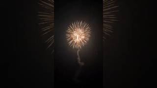 Quick Spark  Big Impact  skyshot fireworksdisplay [upl. by Idelle]