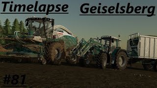 LS22 Timelapse Geiselsberg 81 Mais abfahren mit dem Fendt 415 Vario [upl. by Hsiri]