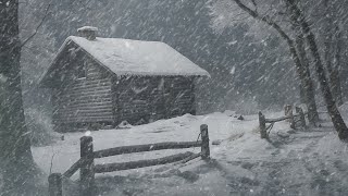 Fall Wind Sounds Helped Me Sleep Better During Snow Storms [upl. by Asiral]