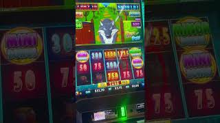 Big win on the pokies Can’t complain 🎰💵 win slots pokies [upl. by Bud]