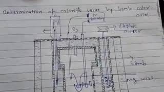 Determination of calorific value by bomb calorimeter [upl. by Mathew151]