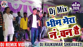 Jisne Banaya Samvidhan Bhim Mera Number One Hai जिसने बनाया संविधान भीम मेरा नंबर बन है  Bhim Dj [upl. by Morven]