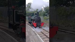 Saddle Tank Premier light working on SKLR [upl. by Matusow]