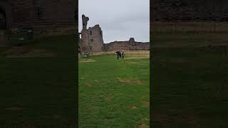 Dunstanburgh Castle 😍 castle northumberland craster [upl. by Julis77]