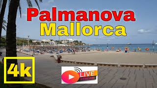 🔴 LIVE Palmanova Mallorca Majorca  Spain 2022  4k [upl. by Gloriane]