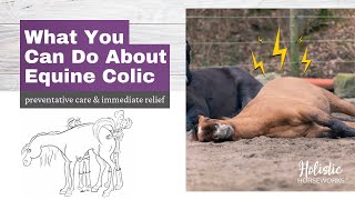 Equine Colic  Horses with Colic Symptoms  What you can do [upl. by Johan245]