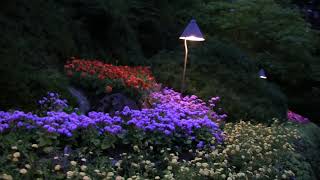 Butchart Gardens Virtual Tour [upl. by Noivart]