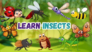 Learn Insect Names for Kids  Fun and Educational Bug Facts [upl. by Joaquin249]