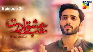 Ishq Ibadat  Episode 36   Wahaj Ali  Anum Fayyaz  Pakistani Dramas  HUM TV [upl. by Betsey16]