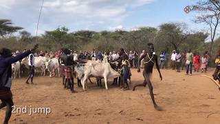 Hamer Tribe Bull Jumping Ceremony [upl. by Korns]