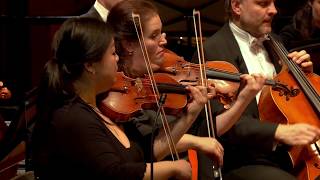 Haydn Symphony no 45 Farewell Symphony  Sinfonia Rotterdam Conrad van Alphen [upl. by Oisorbma]