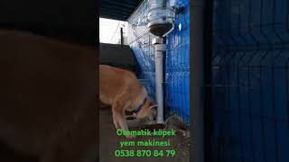 Otomatik köpek yem makinesi 0538 870 84 79 [upl. by Yhtak491]