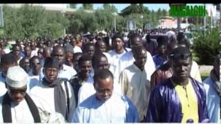 Reportage Thi Serigne Touba Ak Toubabyi Ddax Li Toubabyi Beugon Am Nako Wala Amou Ko [upl. by Orihakat]