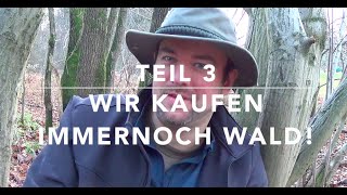 Wir kaufen Wald Rechte Pflichten Waldbau Finanzielles Teil 33 [upl. by Colene675]