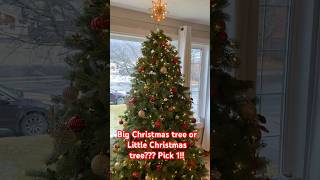 Big Christmas tree or Little Christmas tree Pick one christmas christmastree christmasmusic [upl. by Christalle]