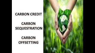 What is Carbon Credit Carbon offsetting Carbon Sequestration etc ALL IN ONE [upl. by Adne]