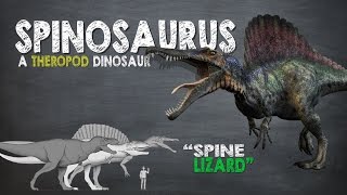 Spinosaurus Facts A Dinosaur Facts video about Spinosaurus the largest known carnivorous dinosaur [upl. by Ikila]