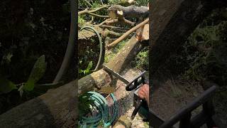 Tree Cutting 👌woodworking treecutting shorts [upl. by Harleigh]