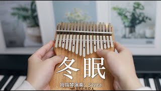 kalimba Cover 司南  冬眠 [upl. by Ameg373]