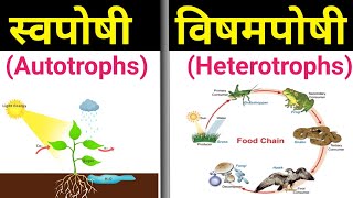 स्वपोषी और विषमपोषी में अंतर  swaposhi aur vishamposhi mein antar  autotrophs and heterotrophs [upl. by Paddy57]