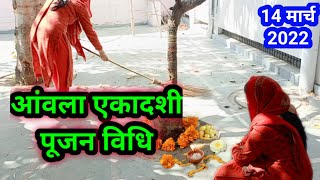 आंवला एकादशी पूजा विधि Amla ekadashi Puja vidhi [upl. by Rakia]