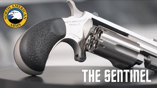 Introducing The NAA Sentinel [upl. by Intirb]