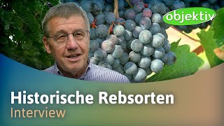 Interview zu historischen Rebsorten [upl. by Basham880]