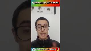 QUEIMADAS NO BRASIL  ATUALIDADES  MAIS MATÉRIA MELHOR shorts [upl. by Oijres447]